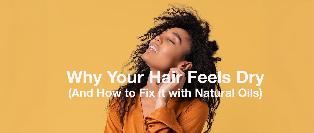 Why Your Hair Feels Dry (And How to Fix It with Natural Oils)